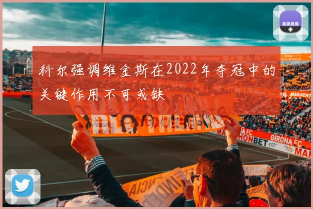 科尔强调维金斯在2022年夺冠中的关键作用不可或缺