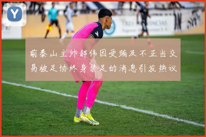 前泰山主帅郝伟因受贿及不正当交易被足协终身禁足的消息引发热议