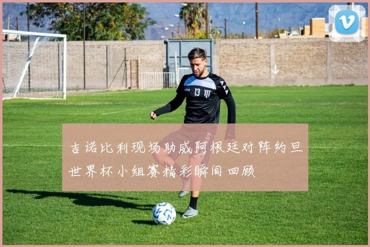吉诺比利现场助威阿根廷对阵约旦世界杯小组赛精彩瞬间回顾