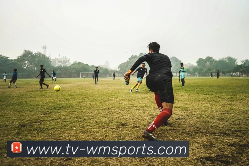 完美体育APP 高清赛事图
