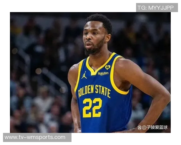 南海岸数学家维金斯高效表现助力球队防守贡献显著