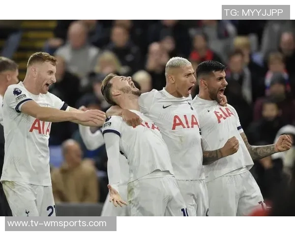 热刺球迷对球队推出的高价围巾表示强烈不满引发热议